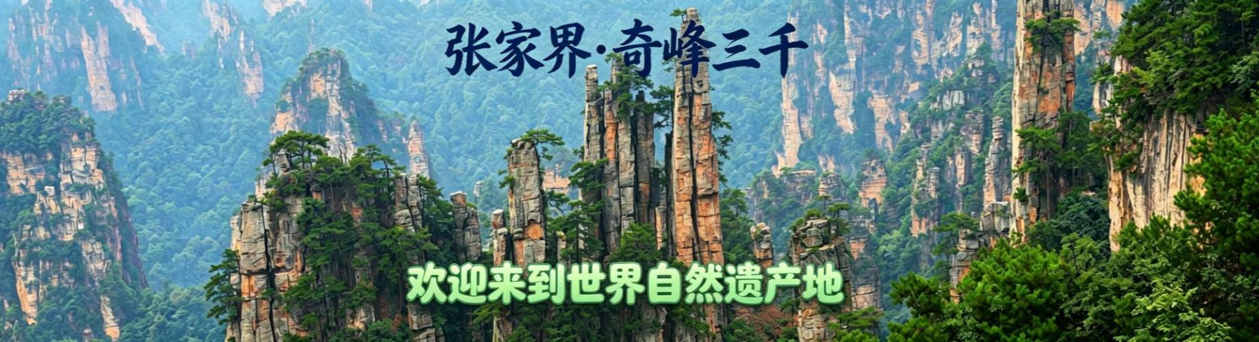 张家界全景纯玩游｜天门山 + 袁家界阿凡达峰林