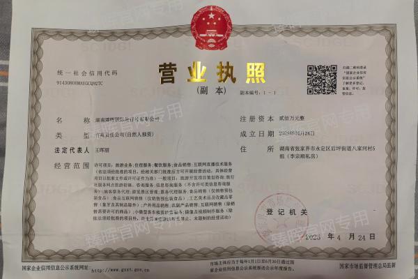 臻晖国际旅行社营业执照